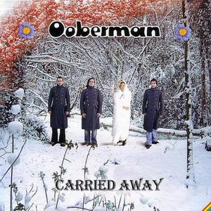 美国大黑刁内射丰满的少妇
