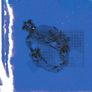 美国大黑刁内射丰满的少妇
