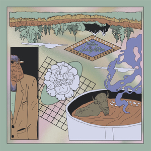 美国大黑刁内射丰满的少妇
