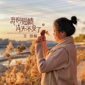 美国大黑刁内射丰满的少妇
