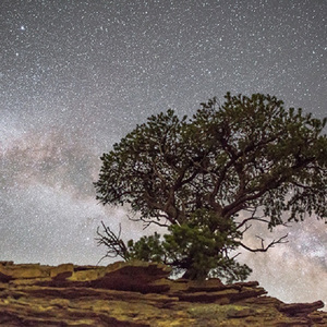 美国大黑刁内射丰满的少妇
