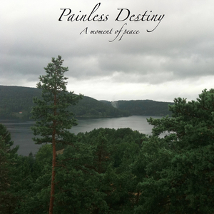 美国大黑刁内射丰满的少妇
